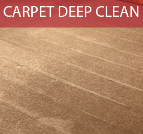carpet care, carpet extraction, shampoo carpet, carpet restoration, steam carpet, rug cleaning, rug care, shampoo rug, vacuum carpet, stain removal
